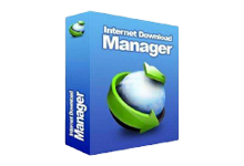 Internet Download Manager IDM v6.42.1 官方版-电脑系统吧